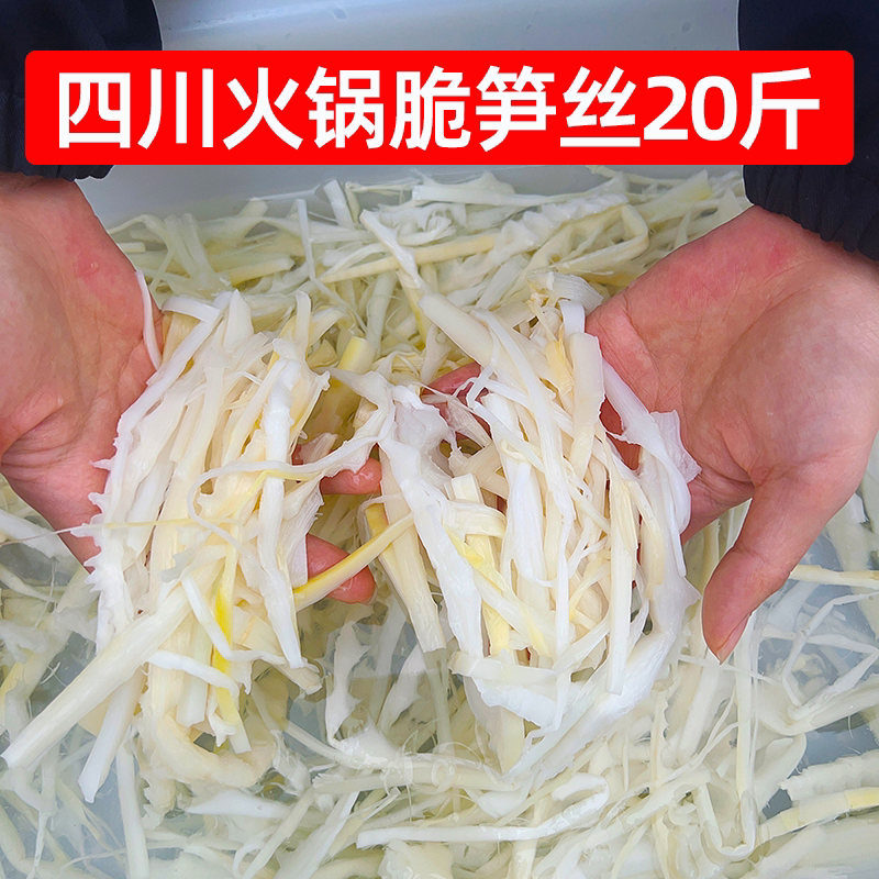 四川火锅脆笋丝20斤商用清水竹笋丝笋尖笋片罗汉笋冒菜麻辣烫食材