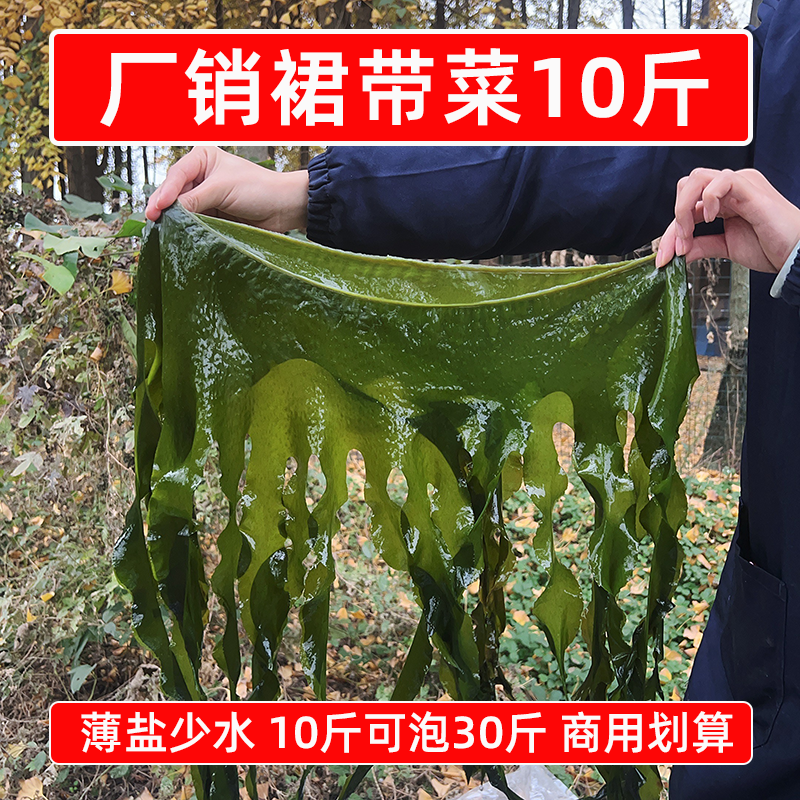 厂家直销盐渍裙带菜10斤半干整箱非纯干货凉拌麻辣烫火锅食材商用,水产肉类/新鲜蔬果/熟食,裙带菜,淘宝优惠券,粉丝福利购,淘宝优惠卷