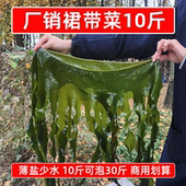 厂家直销盐渍裙带菜10斤半干整箱非纯干货凉拌麻辣烫火锅食材商用