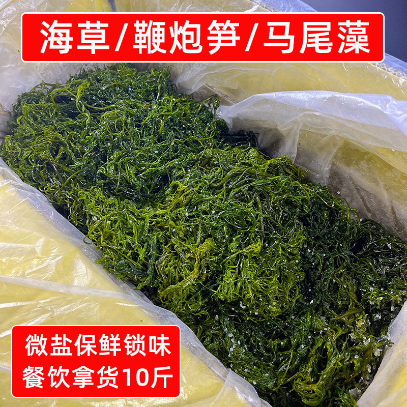 山东荣成盐渍鞭炮笋10斤商用马尾藻长寿菜龙须菜海草火锅凉拌食材
