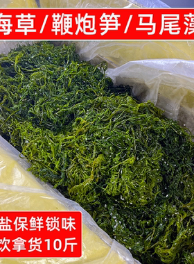 山东荣成盐渍鞭炮笋10斤商用马尾藻长寿菜龙须菜海草火锅凉拌食材