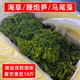 山东荣成盐渍鞭炮笋10斤商用马尾藻长寿菜龙须菜海草火锅凉拌食材