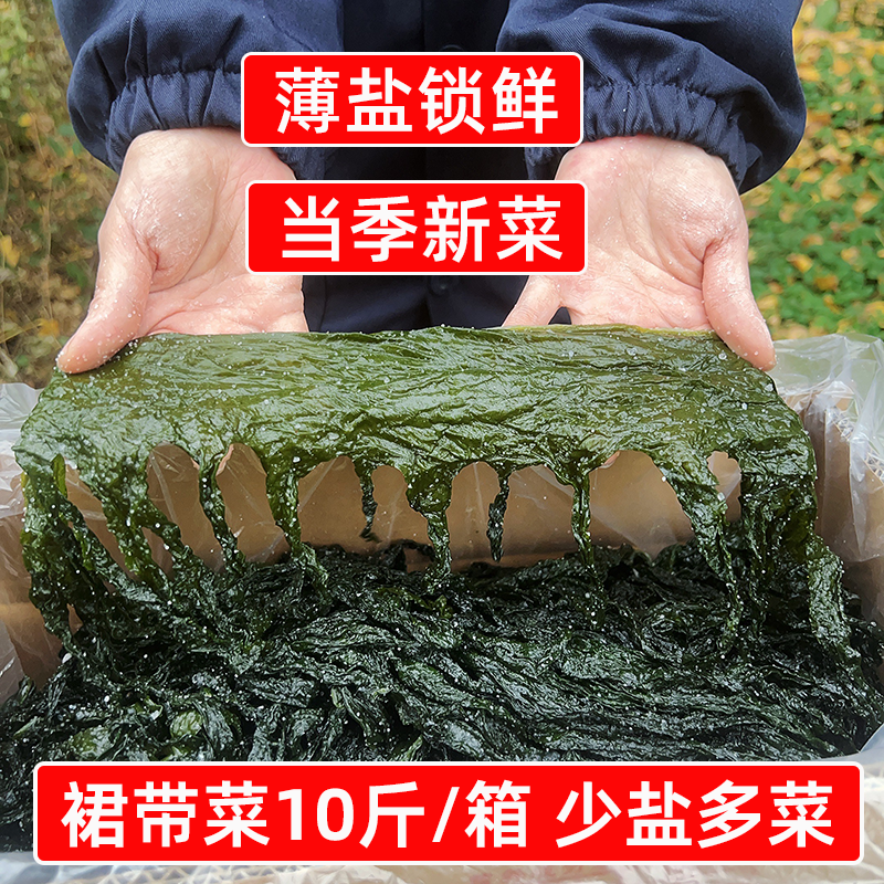 当季新菜盐渍裙带菜非纯干货10斤海带嫩苗海白菜商用火锅凉拌食材