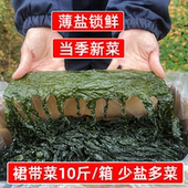 当季 新菜盐渍裙带菜非纯干货10斤海带嫩苗海白菜商用火锅凉拌食材