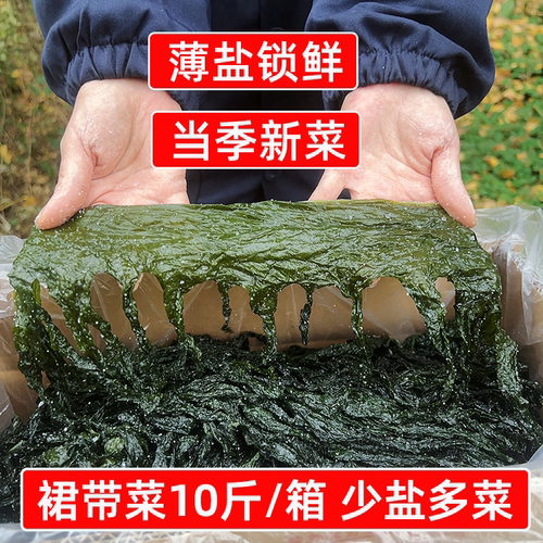 当季新菜盐渍裙带菜非纯干货10斤海带嫩苗海白菜商用火锅凉拌食材