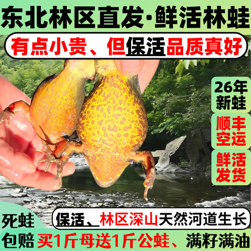 鲜活母林蛙满籽满油死蛙包赔