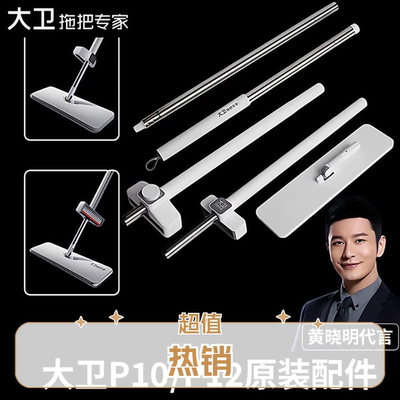 大卫P10/2专用杆平板拖把