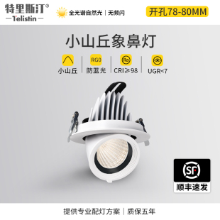 象鼻灯可调角度嵌入式 背景墙小山丘洗墙走廊过道照画led天花射灯