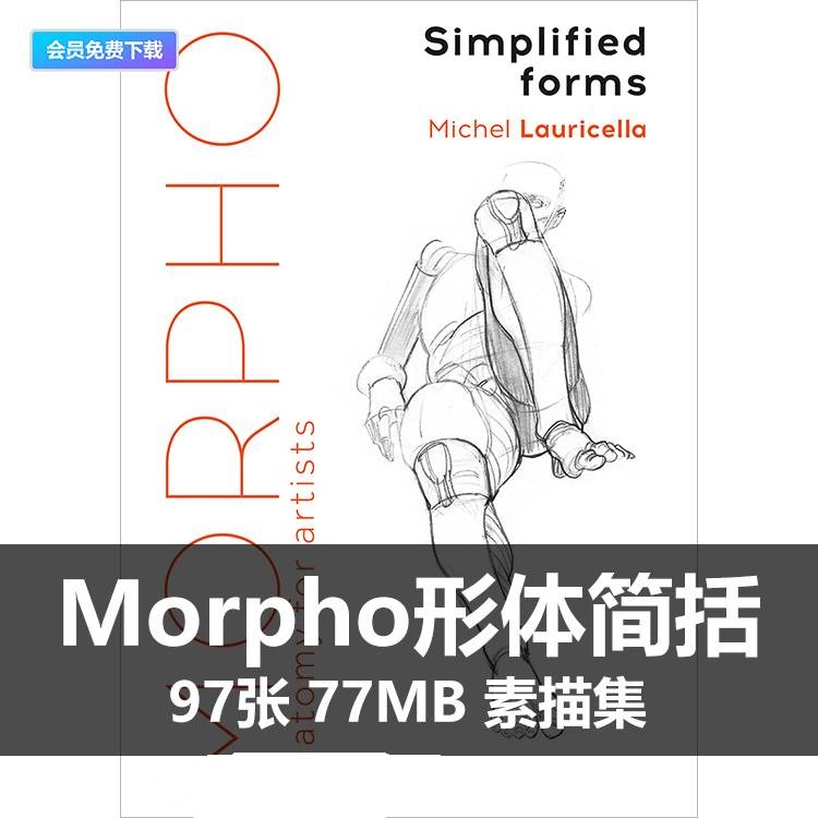 A111肌肉解剖素描集Morpho形体简要线条黑白线稿速写临摹参考素材