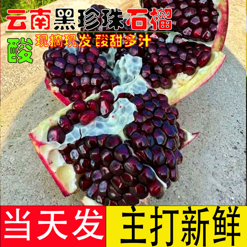 云南建水黑珍珠酸石榴新鲜水果泡酒专用应季水果10包邮