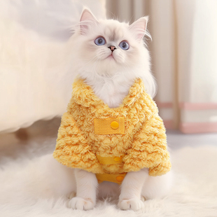 猫咪衣服冬装 加绒加厚棉袄宠物保暖布偶德文英短银渐层小猫服装