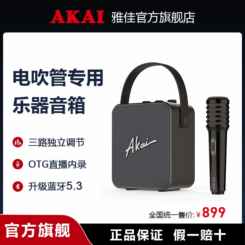 雅佳AK11 专用音箱电吹管萨克斯二胡用音响官方旗舰店户外乐器