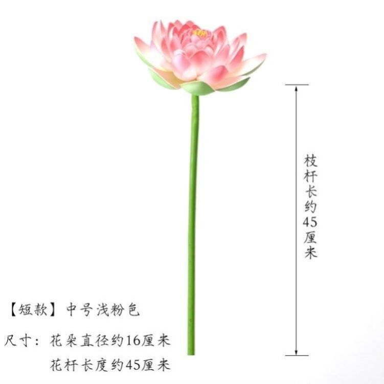 带杆真荷花假荷花真莲花舞蹈舞台造景装饰景水池景观拍摄道具