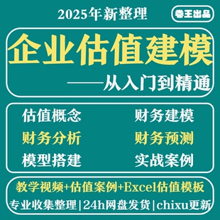 企业估值模型财务建模财务分析与估值方法视频教程课程