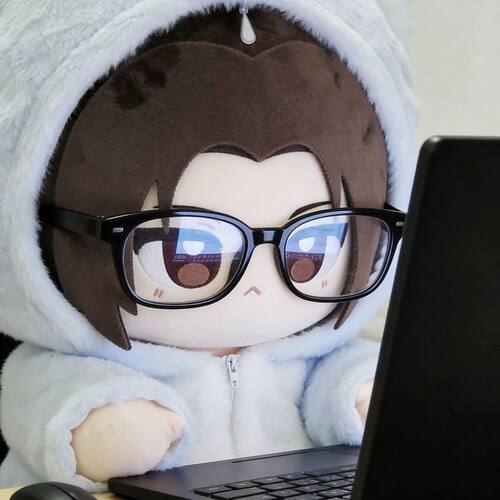 正版原创二哈和他的白猫师尊属性楚晚宁40cm棉花娃娃毛绒公仔周边