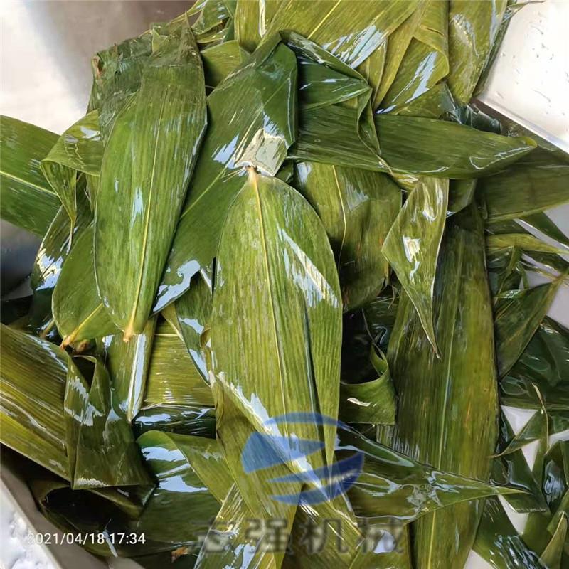 全自动粽叶清洗机压喷淋苇叶毛辊清洗机大枇杷毛刷清洗机