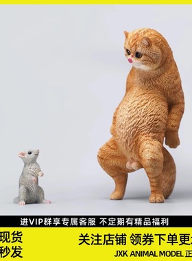 JXK1/6痞子猫加菲搭配小老鼠