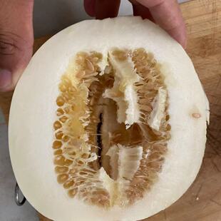 甜宝小白香瓜甜瓜湖北孝感蜜罐甜瓜当季现摘香瓜脆瓜香甜多汁5斤