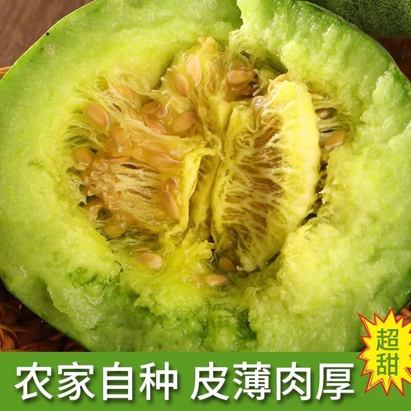 绿宝甜瓜现摘头茬绿宝石甜瓜新鲜甜瓜