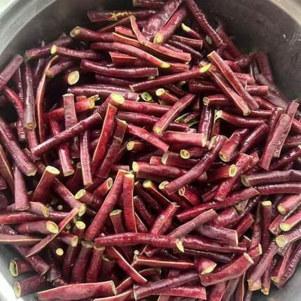 红豇豆新豆角紫色红豆角紫刀豆长豇豆新鲜应季孕妇蔬菜小时候味道