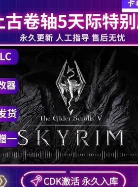 Steam正版上古卷轴5天际特别版CDKEY国区全球区激活入库PC中文