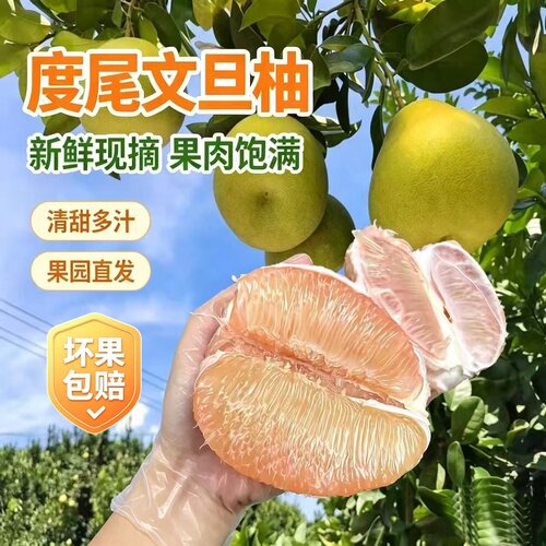 福建度尾红心文旦柚产地直发
