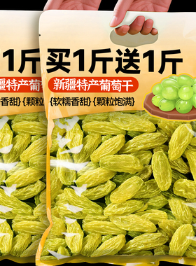 2025年新货葡萄干新疆特产风干非特大颗500g提子商用黑加仑批发