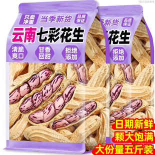 云南七彩花生特产2025新货带壳熟花生旗舰店原味炒货坚果解馋零食