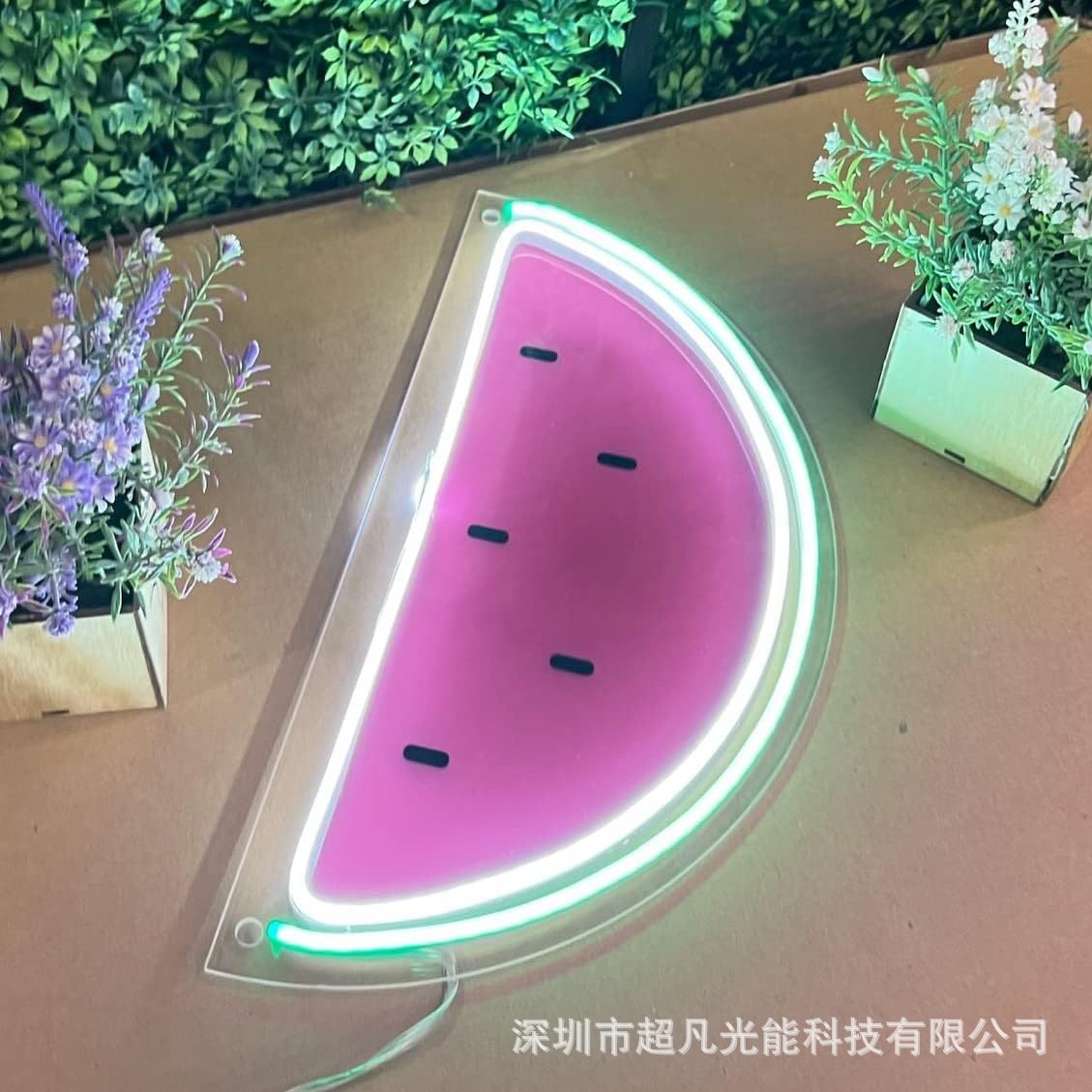 亚马逊热门装饰西瓜图案UV打印小造型灯氛围发光牌LED造型灯夜灯