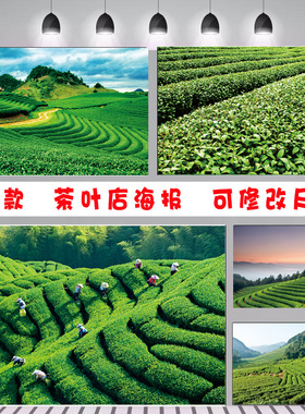 绿色茶园茶道文化背景挂画茶室茶庄茶楼自粘壁纸茶叶店墙壁画海报