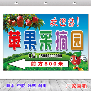 苹果采摘园指示牌葡萄简介装饰画采摘园海报草莓园入园须知墙贴图