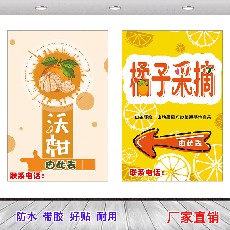 沃柑采摘园沃柑采摘园海报水果园橘子采摘园喷绘布摆宣传广告牌图