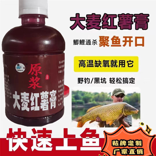 高度浓缩大麦红薯膏大瓶黑坑野钓