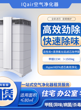 除甲醛除味空气净化器租赁出租除醛机器布鲁雅尔IQair霍尼韦尔租