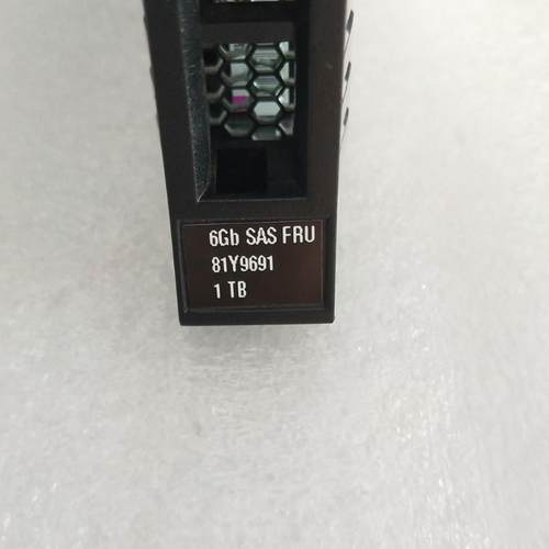 IBM 81Y9691 81Y9690  81Y9731 81Y3829 X3650 M3 M4 1TB 2.5