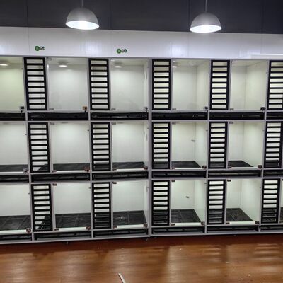 狗笼子展示柜繁育笼实木