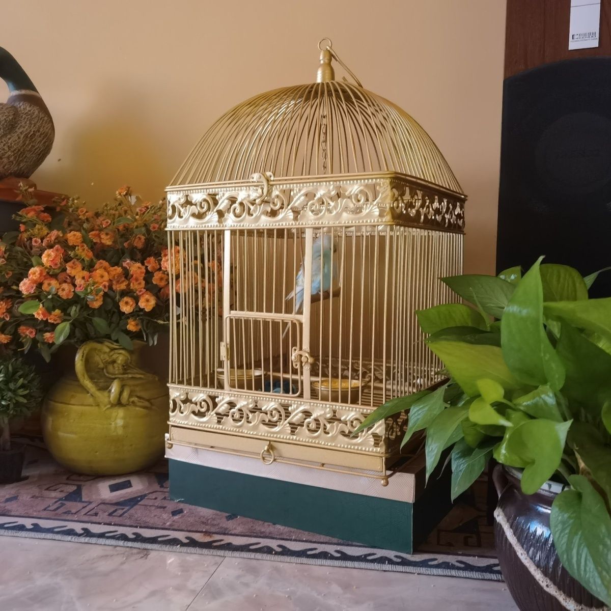 欧式铁艺复古鹦鹉鸟笼子