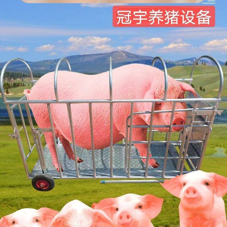 抓猪笼肥猪笼母猪笼小猪笼折叠加长款普通款不折叠款