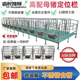 母猪定位栏加厚热镀锌限位栏带漏粪板落地式定位栏猪圈围栏养猪栏