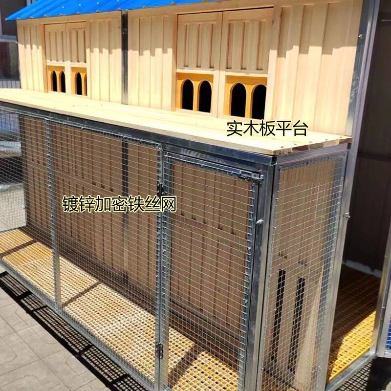 鸽子笼鸽舍鸽棚肉鸽赛鸽配对实木避光防雨防腐防晒繁殖鸟笼3*2米
