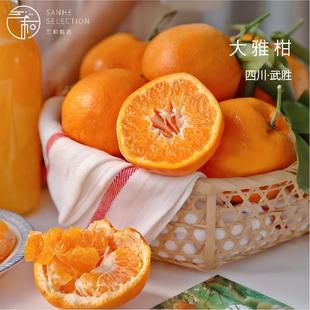 大雅柑武胜新鲜采摘清甜多汁耙耙柑当季鲜果正宗应季整箱包邮