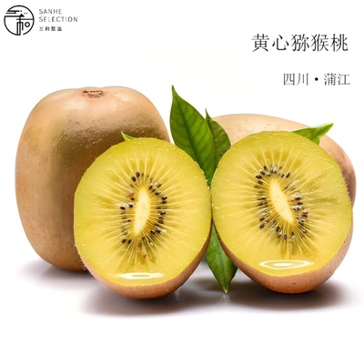 四川蒲江黄心猕猴桃特大果