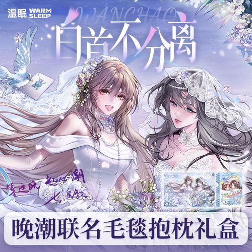 【晚潮联名礼盒】晚潮×温眠毛毯抱枕礼盒