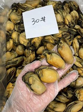 生蚝干30头生晒大金蚝干蚝事海蛎