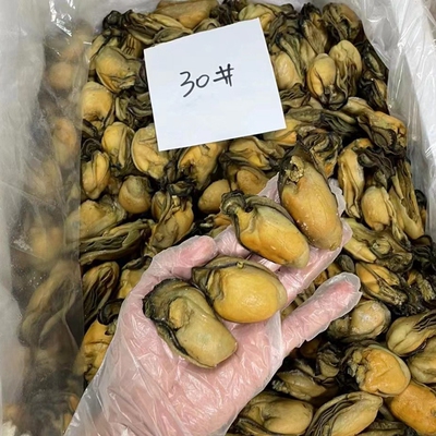 生蚝干30头生晒大金蚝干蚝事海蛎