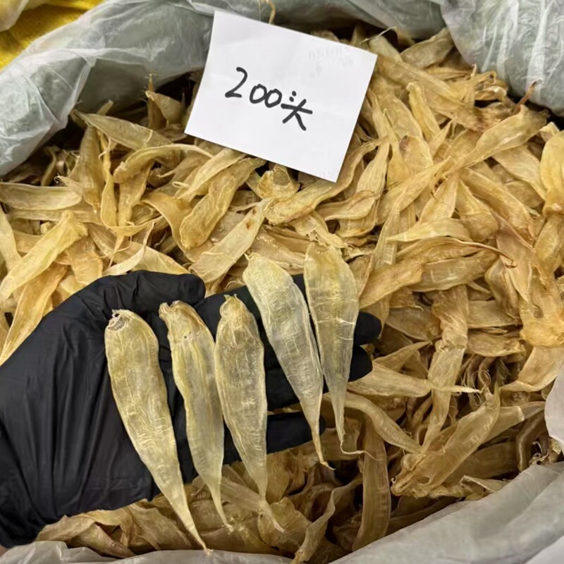 正品豆仁胶花胶鱼胶孕妇术后滋补