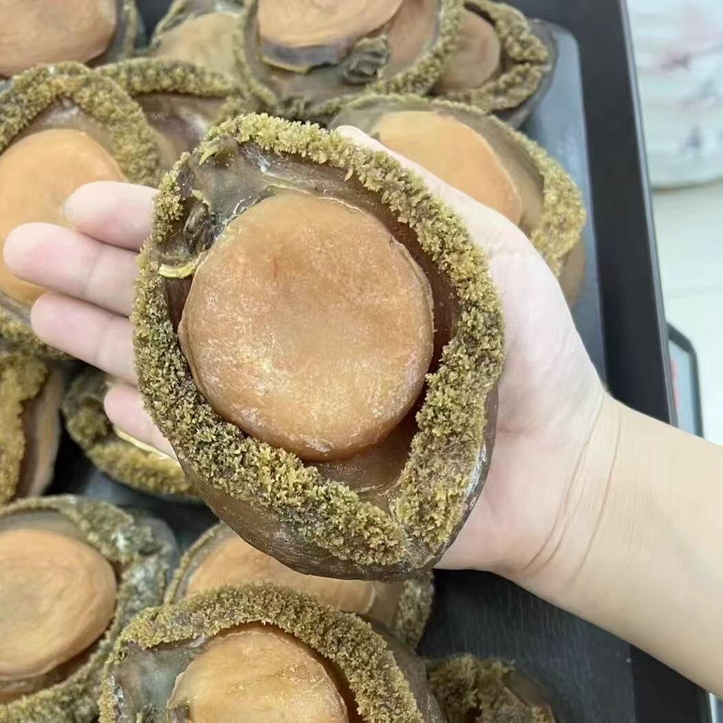 南非鲍鱼大网鲍干货500g佛跳墙食材酒店宴席网红特大干鲍海味送礼