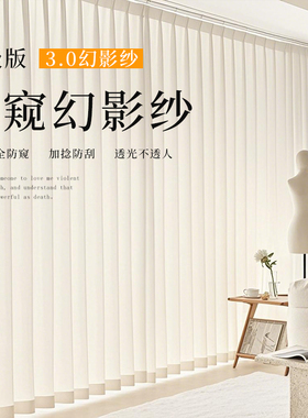 新款幻影纱窗帘纱帘透光不透人飘窗阳台卧室客厅白色窗纱飘窗窗帘