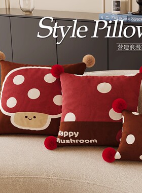 红色新年喜庆抱枕加厚荷兰绒单只方形可拆卸枕套ins卡通印花靠枕