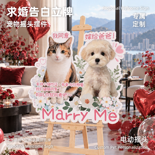 求婚告白现场布置宠物迎宾牌浪漫